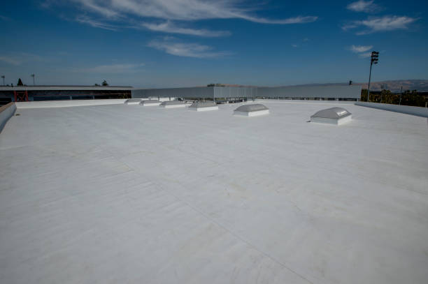 Best Roof Moss and Algae Removal  in New Braunfels, TX