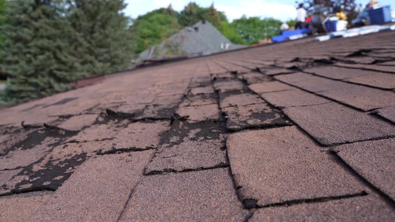 Best Chimney Flashing Repair  in New Braunfels, TX